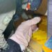 У Львові затримали чоловіка за напад з ножем на військового ТЦК