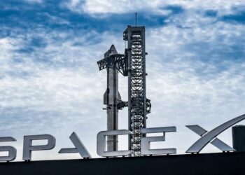 Після виходу SpaceX на біржу її акції випередили Tesla за темпами зростання
