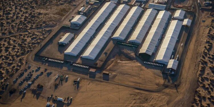 У найбільшому центрі ICE в США охоронець загубив заряджену зброю, а затриманих не перевіряли на туберкульоз