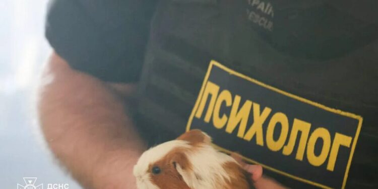 Кілька тварин загинули внаслідок ворожого удару по зоопарку в Харкові