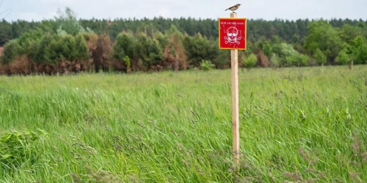 Уряд розширив можливості подання заяв до Реєстру збитків – можна буде отримати компенсацію за розмінування
