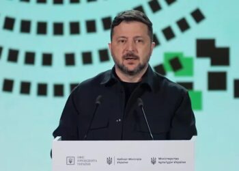 Зеленський заявив про історичний інтерес до програми "Тисячовесна" – подано понад 2600 заявок