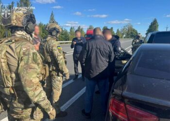 Викрито схему легалізації майже 10 тисяч незаконно зрубаних дубів на понад 147 млн грн