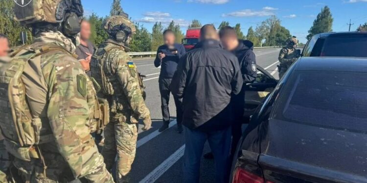 Викрито схему легалізації майже 10 тисяч незаконно зрубаних дубів на понад 147 млн грн