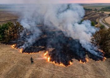 ДСНС закликала українців не палити багаття через надзвичайну пожежну небезпеку