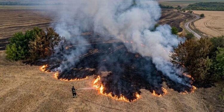 ДСНС закликала українців не палити багаття через надзвичайну пожежну небезпеку