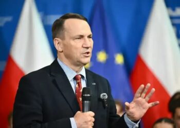 Очікуємо, що Україна виправить помилку щодо "Героїв УПА" – Сікорський