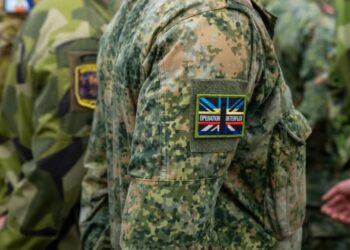 Нідерланди завершили участь у місії Interflex, підготовку українських військових продовжить Велика Британія