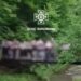 На Буковині під групою дітей обвалився міст під час екскурсії, є постраждалі