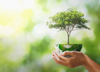 Кабмін пропонує посилити відповідальність за екологічні правопорушення