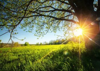 В Україні у неділю очікується до +38°, дощі прогнозують лише в окремих областях