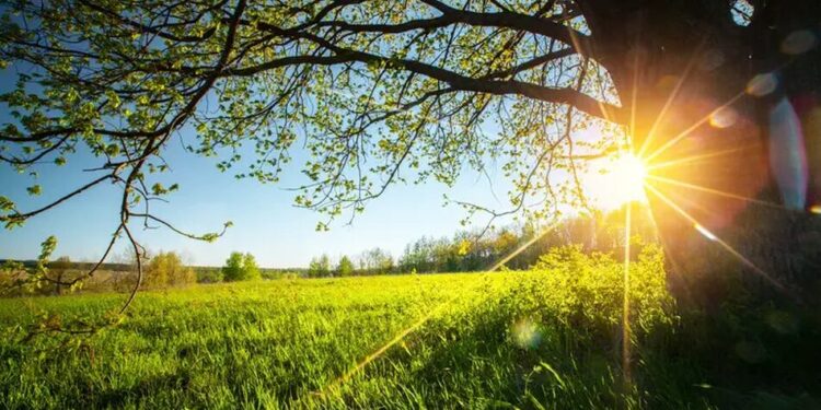 В Україні у неділю очікується до +38°, дощі прогнозують лише в окремих областях