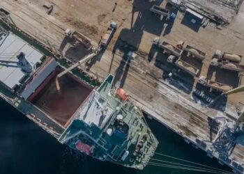 Українським морським коридором уже перевезли 200 млн тонн вантажів, 59% – зерно