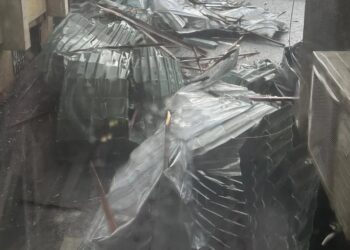 Негода у Львові зірвала дах з райадміністрації, одне з дерев впало на тролейбус