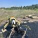 Рятувальники на Рівненщині витягли собаку з глибокої ями зі смолою