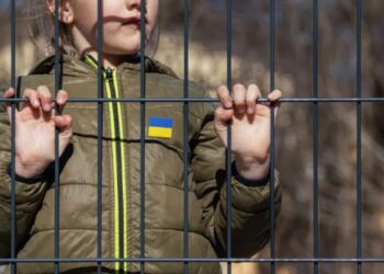 Боснія і Герцеговина стала 50-м учасником коаліції за повернення українських дітей – МЗС