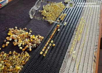 Масштабну схему видобутку бурштину викрили на Рівненщині – знайшли десятки кілограмів каміння та готівку у валюті