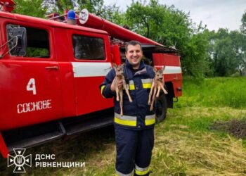 На Рівненщині надзвичайники врятували з охопленої вогнем трави двох оленят
