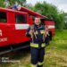 На Рівненщині надзвичайники врятували з охопленої вогнем трави двох оленят