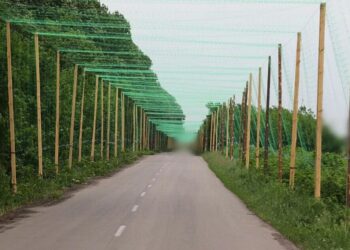 У Волинській області на певних ділянках доріг планують встановити антидронові сітки