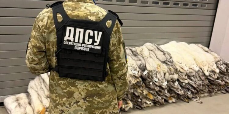 На кордоні з Польщею вилучили партію елітного хутра на суму у 400 тис гривень