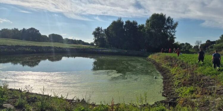 Під Києвом 13-річна дівчинка потонула у штучній водоймі, намагаючись дістати м'яч