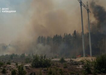 У Чорнобильській зоні загасили пожежу на 130 га, ще є три осередки