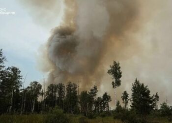 Найбільші лісові пожежі наразі на Чернігівщині та Харківщині, за два дні загасили ще 24 – "Ліси України"
