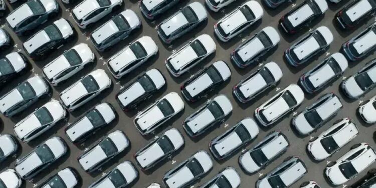 Українці імпортували майже 170 тис. авто за пів року – скільки електрокарів і звідки везуть