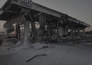 Індія, Азербайджан і Ботсвана дистанціюються від стосунків з росією – розвідка