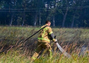 Рятувальники ліквідували пожежу лісової підстилки в Чорнобильській зоні