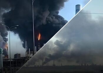 Сили оборони України уразили полігон та пункти управління БПЛА росіян 10-11 липня