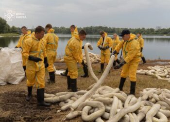 У Києві другий тиждень триває ліквідація наслідків забруднення озера Кирилівське після російського обстрілу