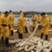 У Києві другий тиждень триває ліквідація наслідків забруднення озера Кирилівське після російського обстрілу