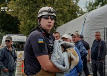 Надзвичайники врятували рудого котика з опіками після обстрілу у Вишневому