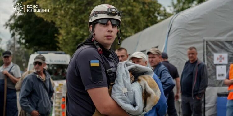 Надзвичайники врятували рудого котика з опіками після обстрілу у Вишневому