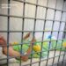 Організатор заходу зі збройовою виставкою під Києвом, де від удару рф загинуло 10 людей, отримав підозру – Генпрокурор