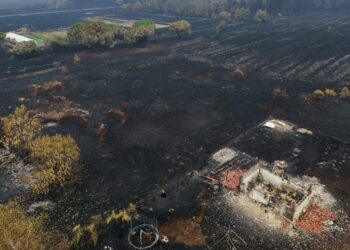 Лісові пожежі у Франції наближаються до заводів з виробництва ракет