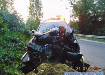 У Польщі Audi із сімома п’яними українцями потрапила в ДТП, одна пасажирка їхала у багажнику