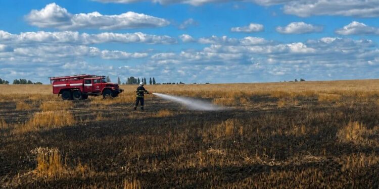 Атака рф спричинила пожежу на пшеничному полі в Житомирській області – ОВА