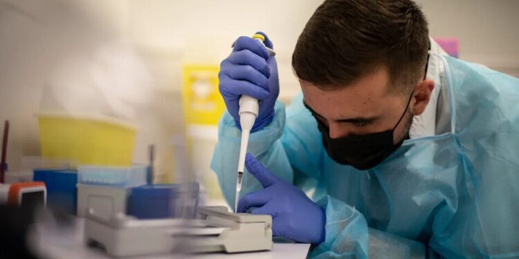 Австралія підтвердила перший випадок H5N1 у місцевого морського птаха