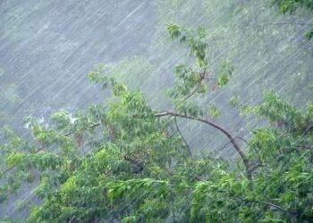 В Україну йдуть грози та шквали: можливий підйом рівня води у річках та сходження селевих потоків у горах