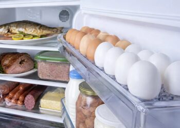 Як правильно зберігати продукти та запаси вдома у спеку без світла і води