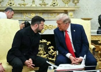 Зеленський попросив Трампа домовитися з Маском про використання Starlink для ударів по пускових установках рф – The Atlantic