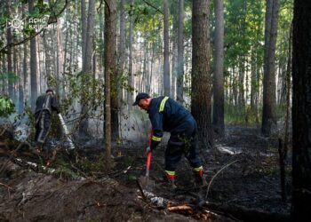 У Чорнобильській зоні локалізували всі осередки лісової пожежі