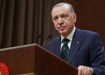 Ердоган підтримав мирну ініціативу Трампа щодо України та заявив про військову підтримку