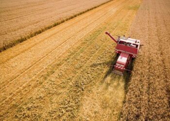 На Запоріжжі через ворожі обстріли знищені понад 1800 гектарів посівів