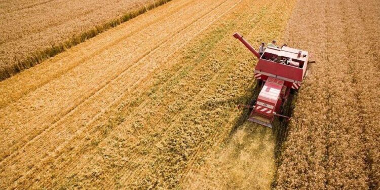 На Запоріжжі через ворожі обстріли знищені понад 1800 гектарів посівів