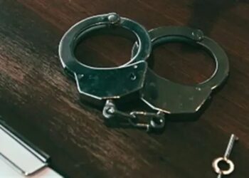 Кричав, бив та залишив у спеку без води: киянин може сісти до в'язниці на три роки за вбивство собаки