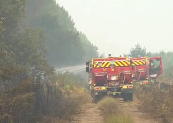 Лісова пожежа у Франції створила перший в країні пірокумулюс з блискавками
